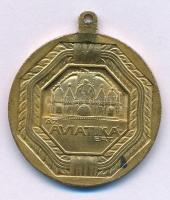 1917. "Az AVIATIKÁÉRT" bronz emlékérem füllel, melyet az 1917-es Hadirepülőgép kiállításon árultak a magyar aviatika anyagi támogatása céljából (27mm) T:AU Hungary 1917. "For Aviation" bronze commemorative medallion with ear, the medal was sold to the visitors of the Military Aircraft exhibition to promote the Hungarian Aviation (27mm) C:AU