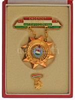 1960-1970 k. "Erdészet Kiváló Dolgozója" aranyozott, műgyantás kitüntetés, miniatűrrel eredeti tokban T:AU