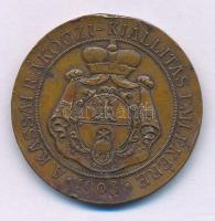 1903. "PRO LIBERTATE / A KASSAI RÁKÓCZI-KIÁLLÍTÁS EMLÉKÉRE 1903." kétoldalas bronz emlékérem (30mm) T:XF, ph., patina