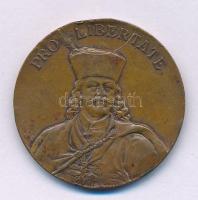1903. "PRO LIBERTATE / A KASSAI RÁKÓCZI-KIÁLLÍTÁS EMLÉKÉRE 1903." kétoldalas bronz emlékér...