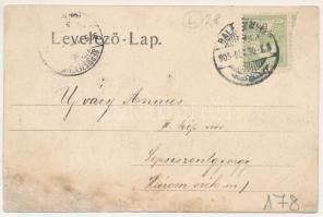 1905 Balázsfalva, Blasendorf, Blaj; Székesegyház, leányiskola, Dr. L. Nestor ügyvéd irodája, Népköny...