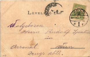 1902 Arad, Andrássy tér, lovaskocsik. Bloch H. kiadása / square, horse-drawn carriages (EK)