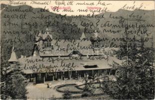 1914 Tusnádfürdő, Baile Tusnad; Gyógyterem / spa hall (EB)