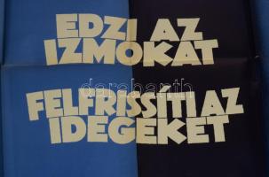 ca 1930 Alpa sósborszesz nagy méretű reklám plakát. Litográfia.jelzett. LH. Hajtva, hajtásnál kis sz...