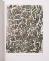 Berecz Ágnes: Simon Hantai. Volume I-II. Szerk.: Makláry Kálmán. Volume I.: 1949-1959. Volume II.:19...