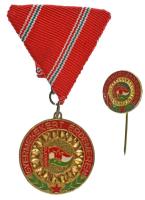 1980 k. "Gyermekekért Érdemérem" műgyantás fém Úttörő kitüntetés mellszalagon, miniatűrrel T:XF