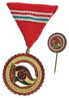 1980 k. "Úttörővezető Érdemérem" műgyantás fém kitüntetés mellszalagon, miniatűrrel T:XF