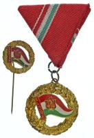 1980 k. "Kiváló Úttörővezető" aranyozott, műgyantás kitüntetés mellszalagon, miniatűrrel T:AU,XF kopott aranyozás