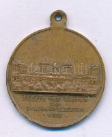 Ausztria 1898. "A schwarzenberg-kerti ünnepség emlékére" "PALAIS UND GARTEN DES F. SC...