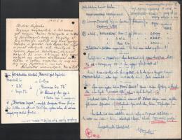 cca 1976-1977 Ajtay-Gecse Viktor Petőfi-kutató és családja levelezése