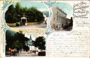 1904 Brezová, Pirkenhammer bei Karlsbad (Karlovy Vary); Hotel und Restaurant Habsburg Bes. Franz Meissner Erb. Hermann Seibt / hotel, restaurant. Art Nouveau, floral (fa)
