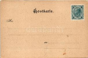 1902 Mariazell (Steiermark), Bürgeralpe. Verlag Jos. Rohrbacher / view (EK)