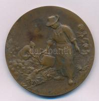 Franciaország DN "Kertészkedés" bronz kétoldalas plakett (50mm) T:AU patina France ND "Gardening" bronze double-sided plaque (50mm) C:AU patina