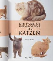 Angela Rixon: Die farbige Enzyklopädie der Katzen. Köln, 2003, Bellavista. Gazdag képanyaggal illusz...