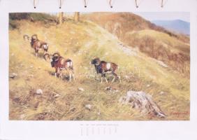 Csergezán Pál (1924-1996) Vadászképeket tartalmazó limitált szériás mappa.
Bp., (1999.) Vincze Papí...