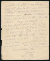 1917 Hajós Alfréd (1878-1955) építész, az első magyar olimpiai bajnok (úszó) autográf levele feleség...