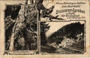 Steinwandgraben bei Furth an der Triesting, Franz Steinberger's Gasthaus "zum Auerhahn", Steinwandklamm. P. Ledermann 12970. / restaurant, gorge. Art Nouveau, floral (fl)
