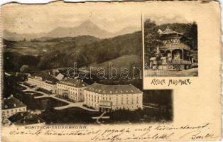 Rogaska Slatina, Rohitsch-Sauerbrunn; Atelier Mösinger / view, from a postcard booklet (tears)
