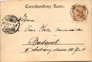 1899 Korneuburg, railway station, train. Verlag v. Joh. Lederer (cut)
