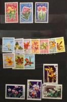 Kis virág motívum összeállítás közepes berakóban, közte sorok