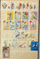 Vegyes külföldi bélyegek 3 db közepes berakóban, benne sok román és olasz bélyeg, jó motívumok (Gomba, Gyümölcs)