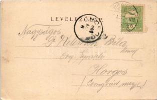 1904 Brassó, Kronstadt, Brasov; látkép. Divald műintézetéből / general view (EK)