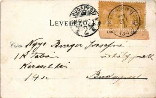 1901 Székelyudvarhely, Odorheiu Secuiesc; Kossuth utca, üzletek. Gál János kiadása / street view, sh...