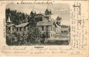 1904 Tusnádfürdő, Baile Tusnad; Gyógyterem. Nagylaki Mór kiadása, Adler A. felvétele / Cursalon / spa hall (EK)