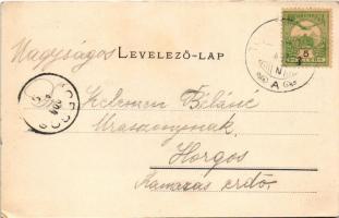 1904 Tusnádfürdő, Baile Tusnad; Gyógyterem. Nagylaki Mór kiadása, Adler A. felvétele / Cursalon / sp...