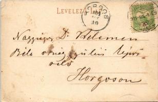 1904 Herkulesfürdő, Baile Herculane; látkép. Krizsány R. kiadása / Total / general view, spa (EK)