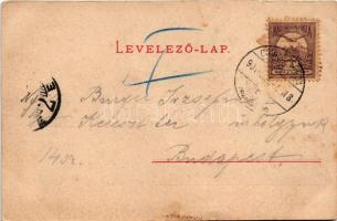 1901 Csíkszereda, Miercurea Ciuc; Megyeháza. Szvoboda József kiadása, Excelsior felvétele / county h...