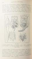 Dr. Deési Daday Jenő: A magyarországi tavak halainak természetes tápláléka. Bp., 1897. Kiadói egészv...