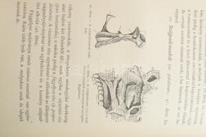 Thanhoffer Lajos: Előadások az anatómia köréből. Bp., 1896, K.M. Természettudományi Társulat. Kiadói...