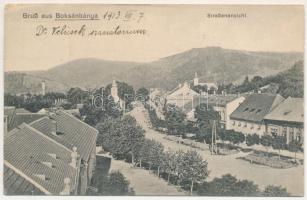 1913 Boksánbánya, Németbogsán, Deutsch-Bogsan, Bocsa Montana; Straßenansicht / látkép, utca. Karl Szabonáry felvétele / street view - 2-részes panorámalap egyik fele / one half of a 2-tiled panoramacard (ázott / wet damage)