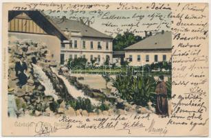 1904 Félixfürdő, Baile Felix; forrás. Láng József kiadása / mineral spring source, spa (ázott / wet damage)