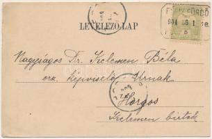 1904 Félixfürdő, Baile Felix; forrás. Láng József kiadása / mineral spring source, spa (ázott / wet ...