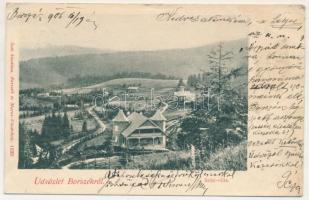 1905 Borszék, Borsec; Szini villa. Soós kiadása / villa (ázott / wet damage)