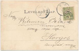 1905 Borszék, Borsec; Szini villa. Soós kiadása / villa (ázott / wet damage)