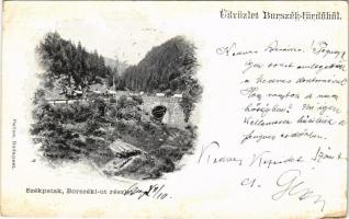 1905 Székpatak, Secu (Maroshévíz, Toplita); Borszéki út részlete / road to Borsec (fl)