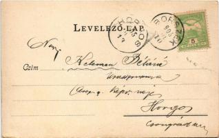 1905 Székpatak, Secu (Maroshévíz, Toplita); Borszéki út részlete / road to Borsec (fl)