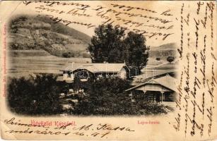 1903 Kassa, Kosice; Lajos-forrás. Breitner Mór kiadása / spa, spring source (szakadások / tears)