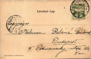 1905 Budapest VIII. Kerepesi út, Budapesti Napló szerkesztősége és kiadóhivatal (ma Rákóczi út 25.),...