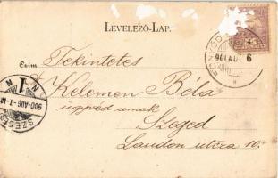 1900 Fonyód, Álmos villa. Gerő Zsigmond kiadása (ázott / wet damage)