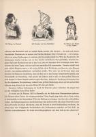 Rümann, Arthur: 
Daumier als Illustrator. Drei Jahrzehnte franzözischen Bürgertums. Mit 150 Abbildu...