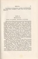 Furtwängler, Adolf - Ulrichs, Heinrich Ludwig (herausg.):
Denkmäler Griechischer und Römischer Skul...