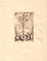 Moulin-Eckart, Richard: 
Hans von Bülow. Mit mehreren Bildern und Faksimiles.
München, 1921. Rösl ...