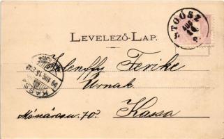 1899 Stószfürdő, Stoósz-fürdő, Kúpele Stós; Budapest villa. Wlaszlovits Gusztáv kiadása / spa, villa...