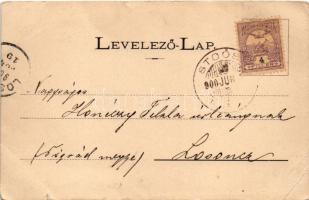 1900 Stószfürdő, Stoósz-fürdő, Kúpele Stós; nyugati részlet, Kompordai ház, látkép. Wlaslovits Guszt...