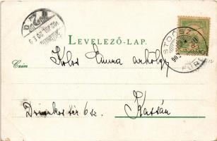 1902 Stószfürdő, Stoósz-fürdő, Kúpele Stós; látkép, villák. Wlaslovits Gusztáv 1401. / view, villas ...