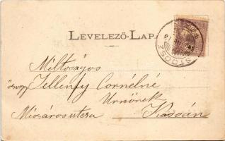 Stószfürdő, Stoósz-fürdő, Kúpele Stós; nyaralók, villák. Wlaszlovits Gusztáv 1056. / villas (EK)